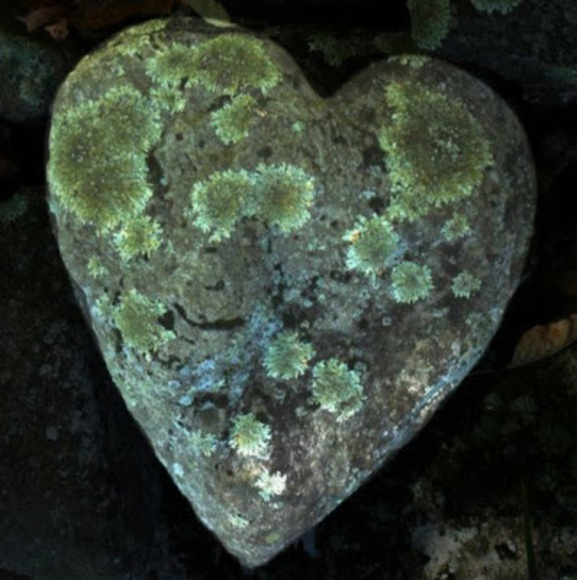 Meet your Posher, Ashley - Picture 1 of 1